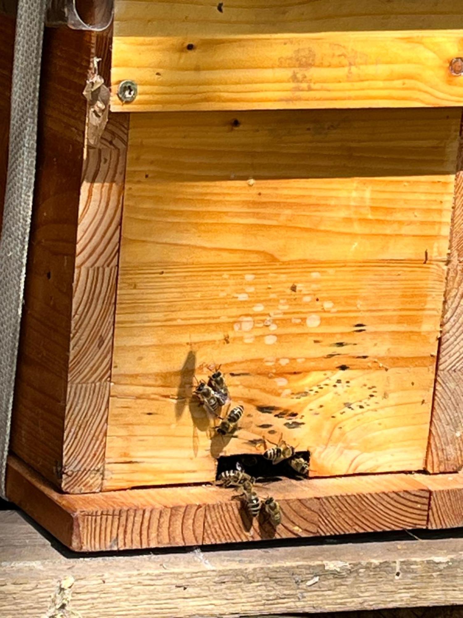 Hotel Wald Ist Zukunft Bernbeuren Esterno foto