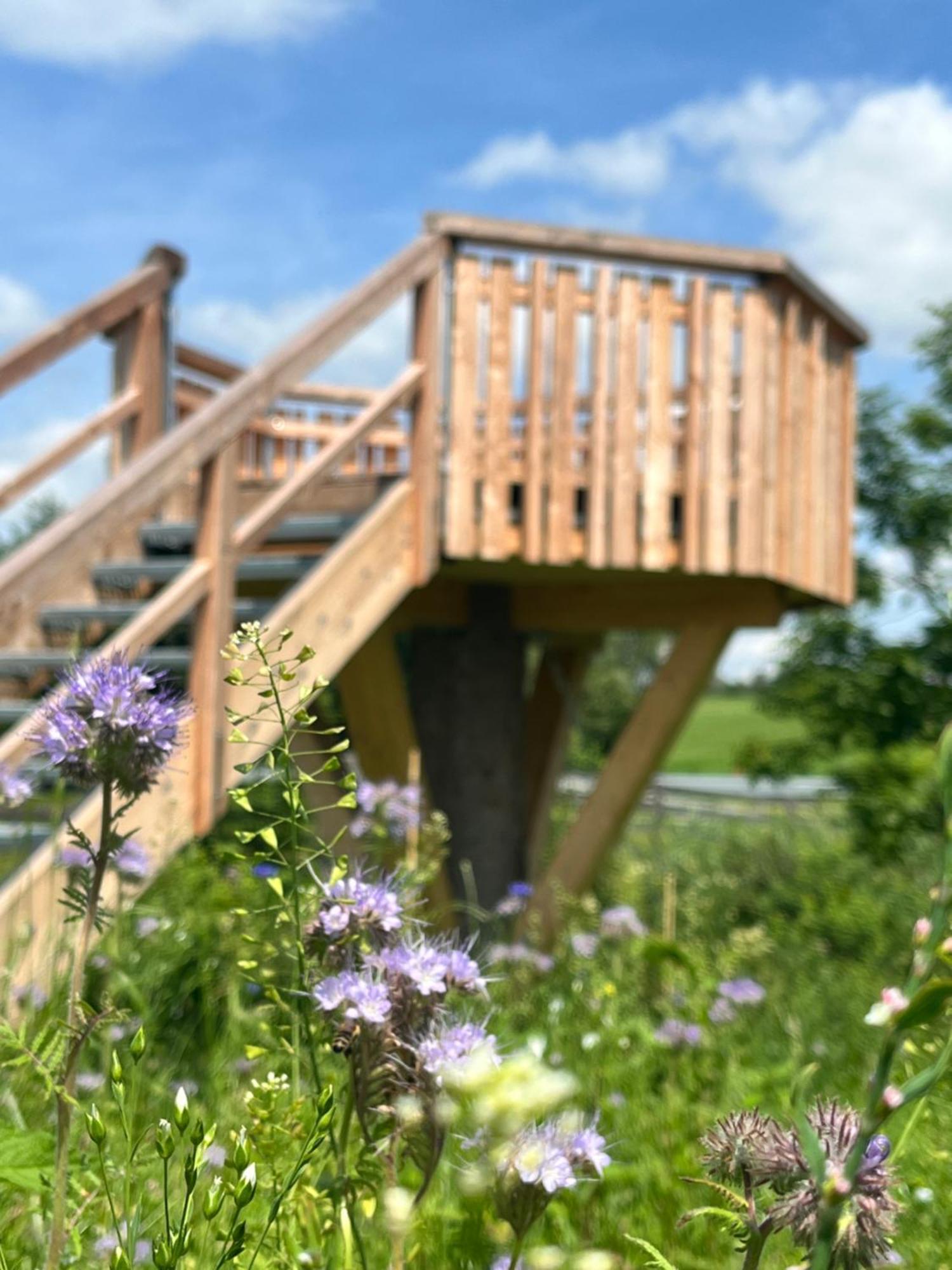 Hotel Wald Ist Zukunft Bernbeuren Esterno foto