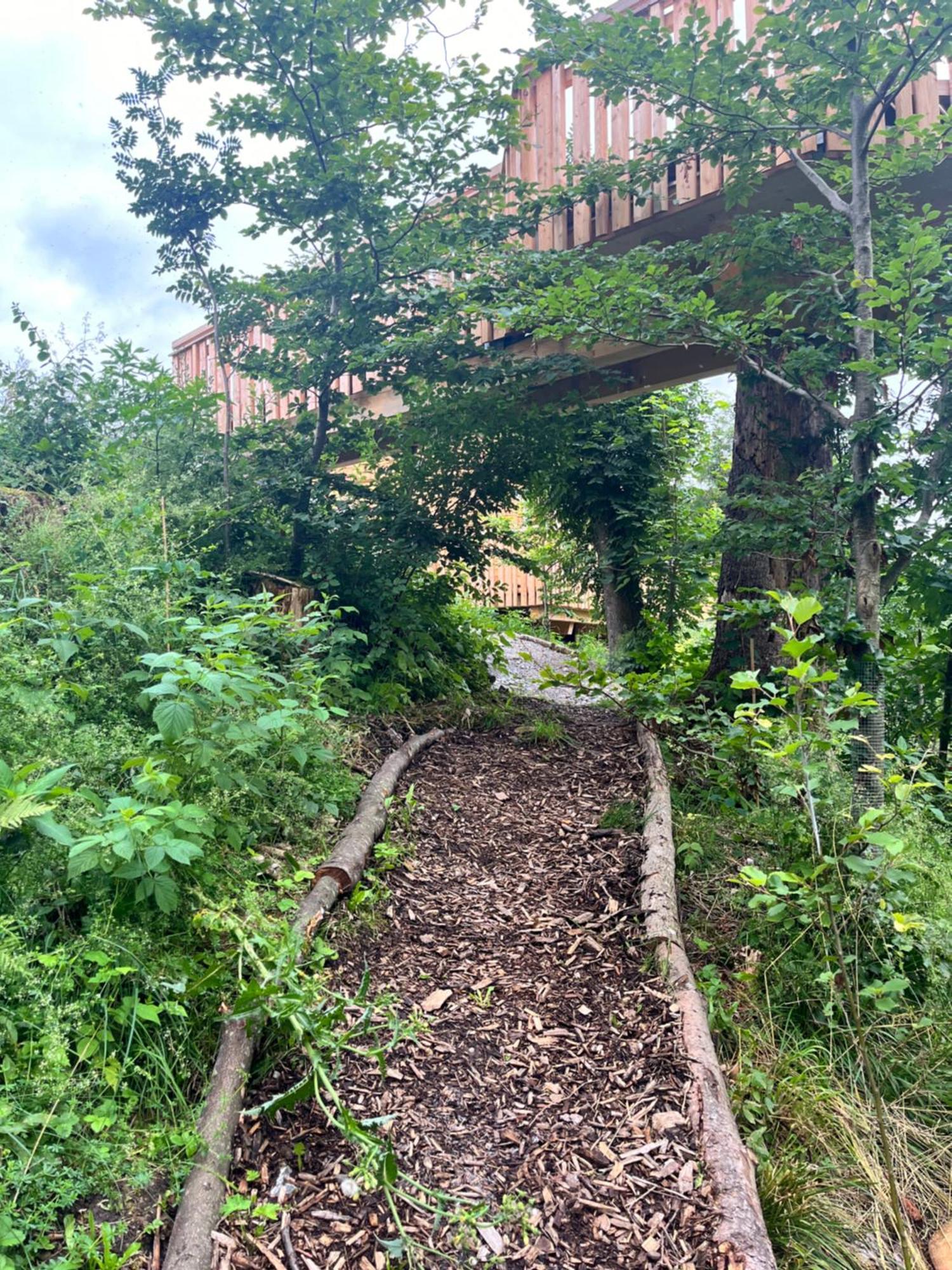 Hotel Wald Ist Zukunft Bernbeuren Esterno foto