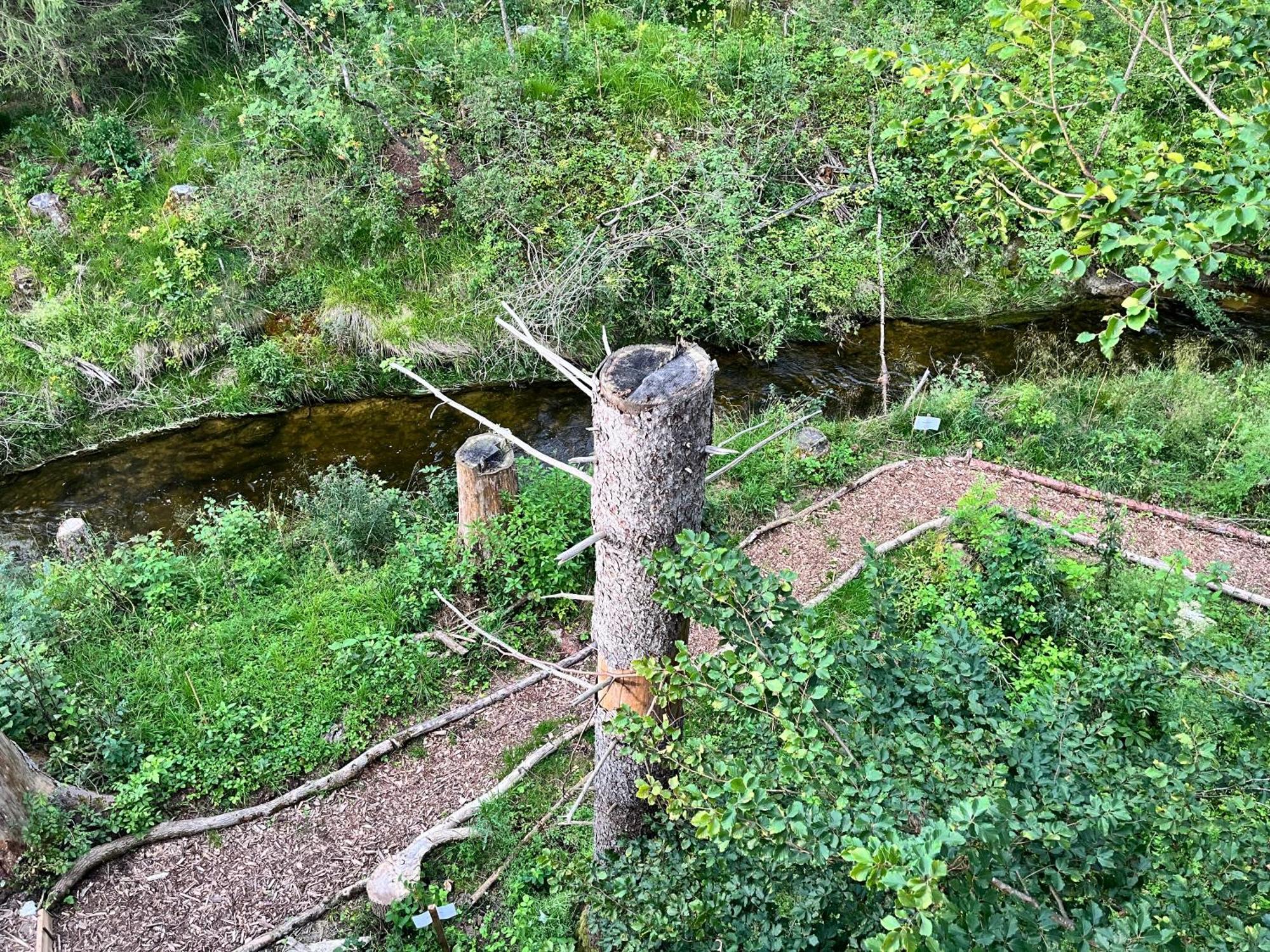 Hotel Wald Ist Zukunft Bernbeuren Esterno foto
