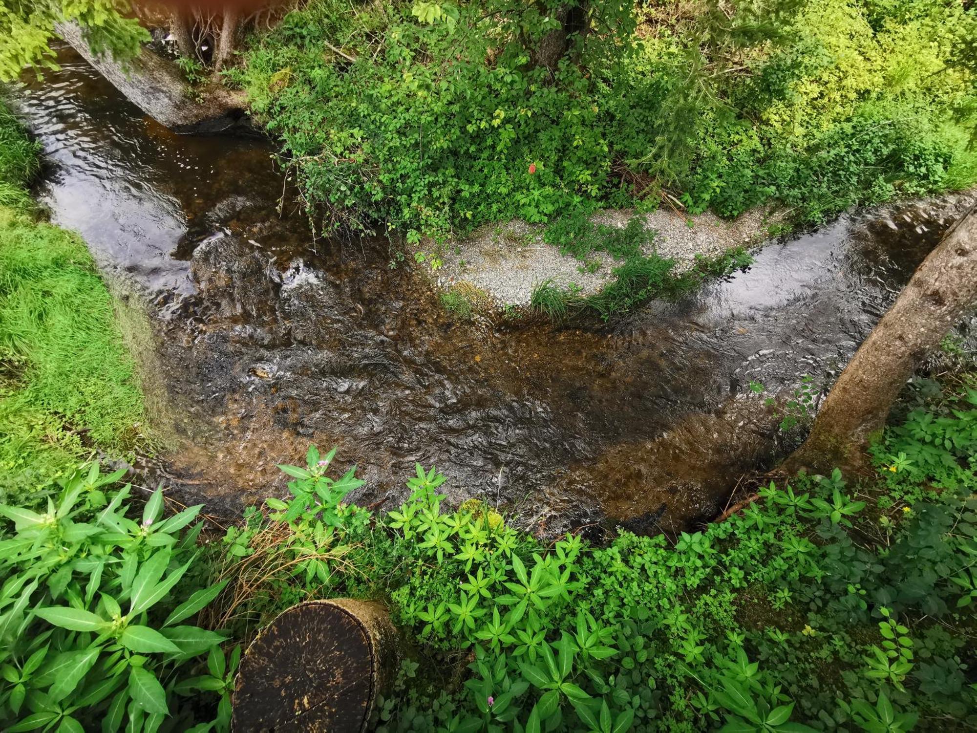 Hotel Wald Ist Zukunft Bernbeuren Esterno foto