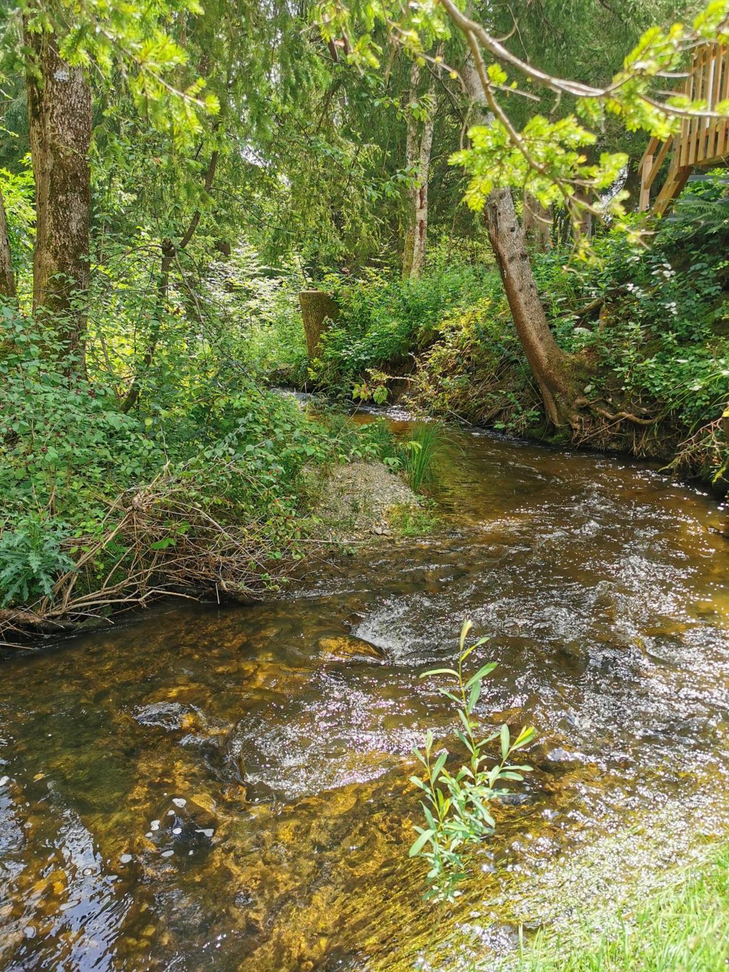 Hotel Wald Ist Zukunft Bernbeuren Esterno foto
