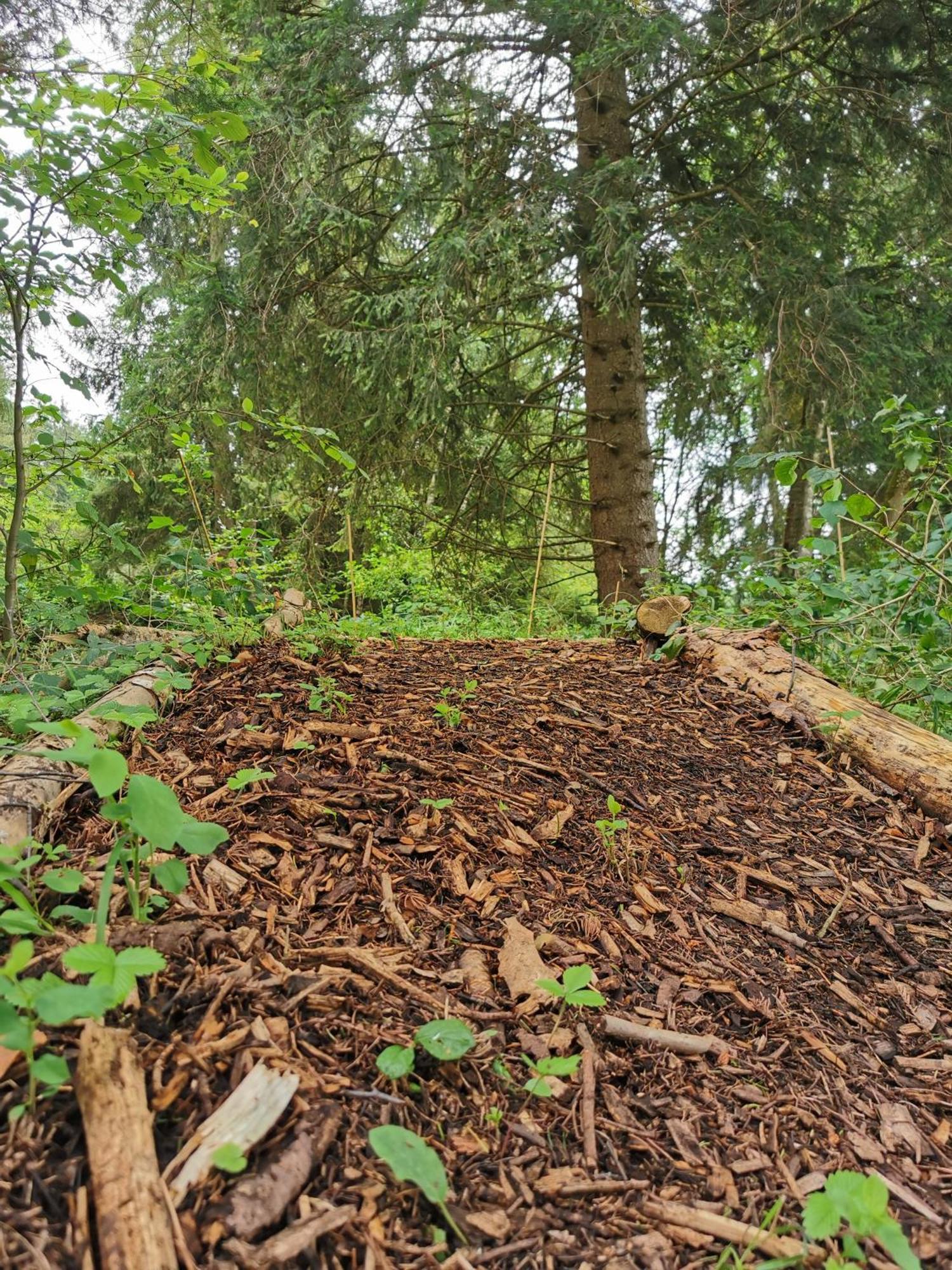 Hotel Wald Ist Zukunft Bernbeuren Esterno foto