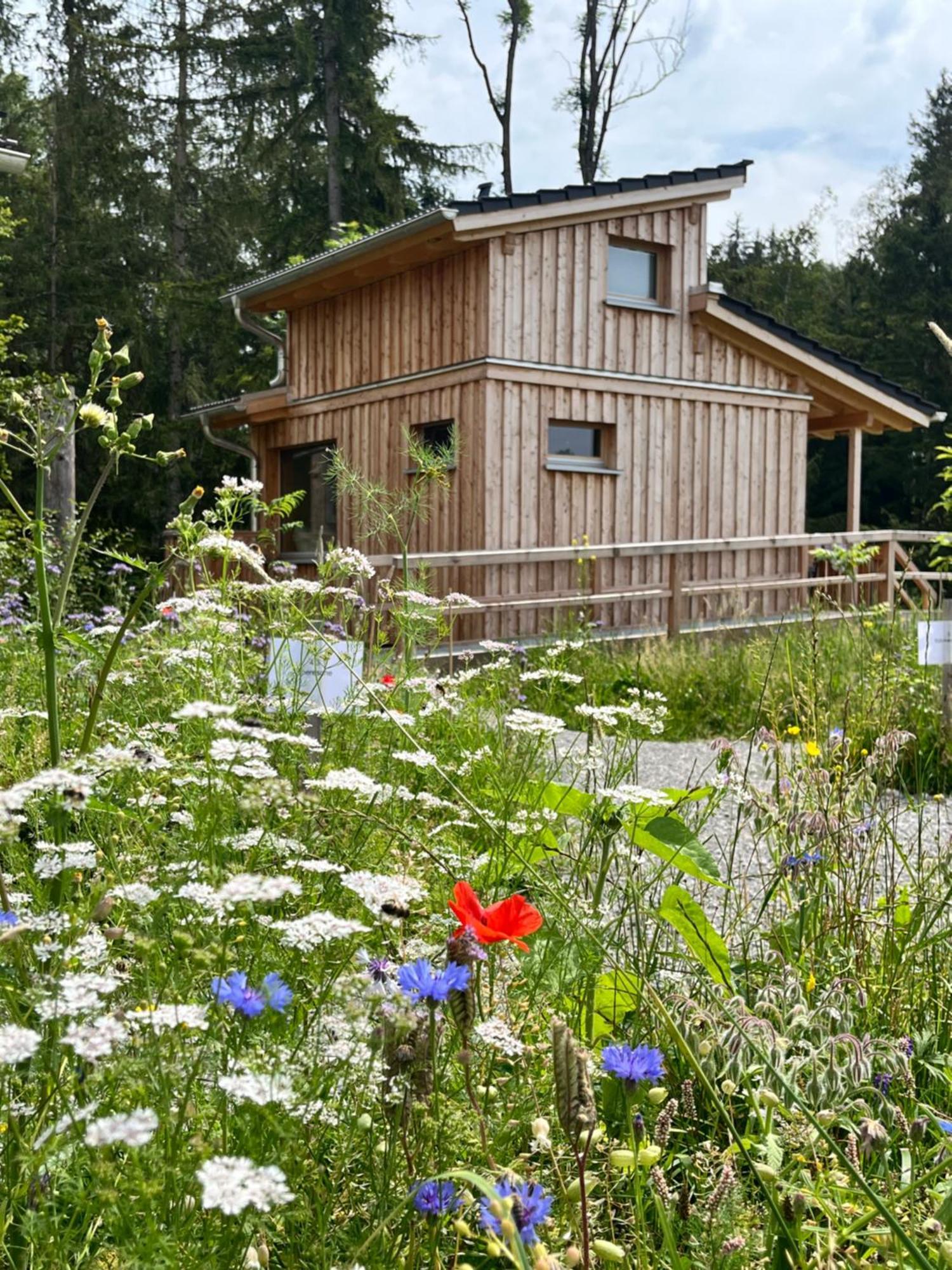 Hotel Wald Ist Zukunft Bernbeuren Esterno foto