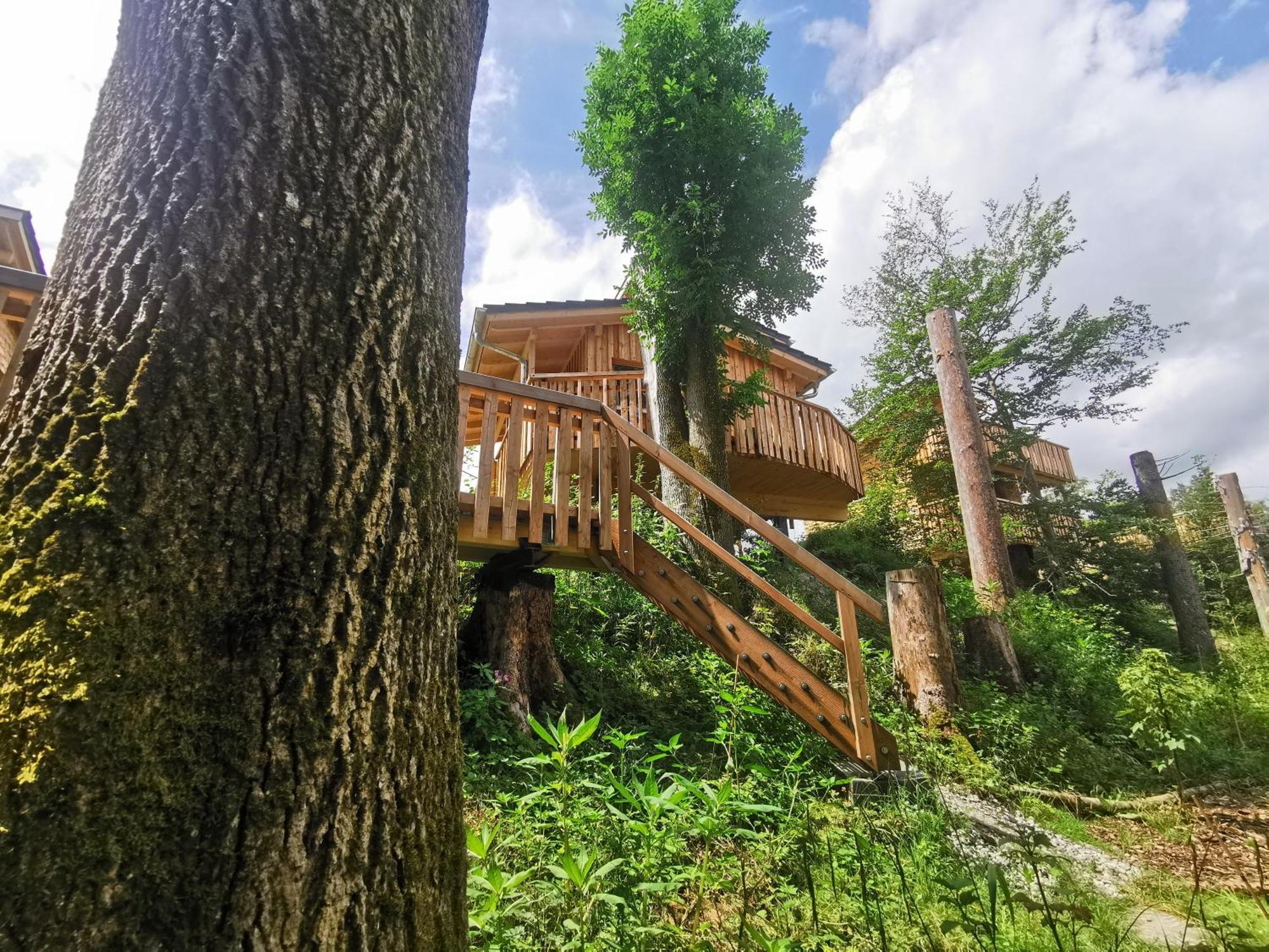 Hotel Wald Ist Zukunft Bernbeuren Esterno foto