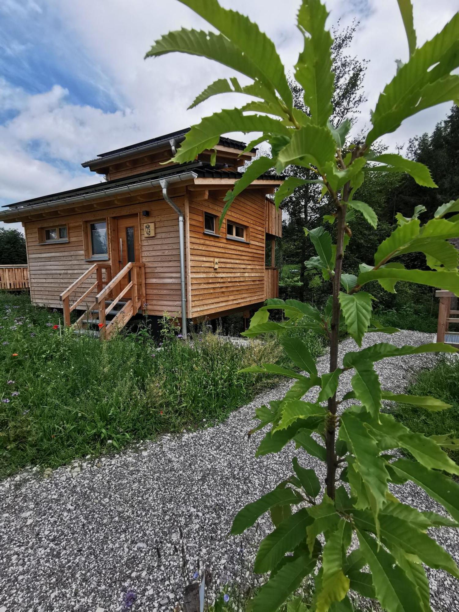 Hotel Wald Ist Zukunft Bernbeuren Esterno foto