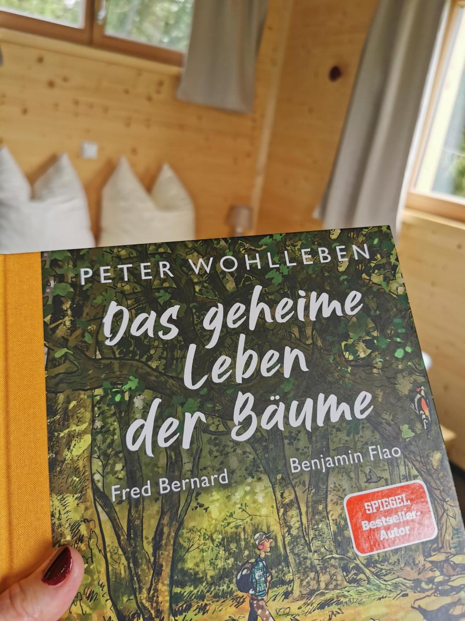 Hotel Wald Ist Zukunft Bernbeuren Esterno foto