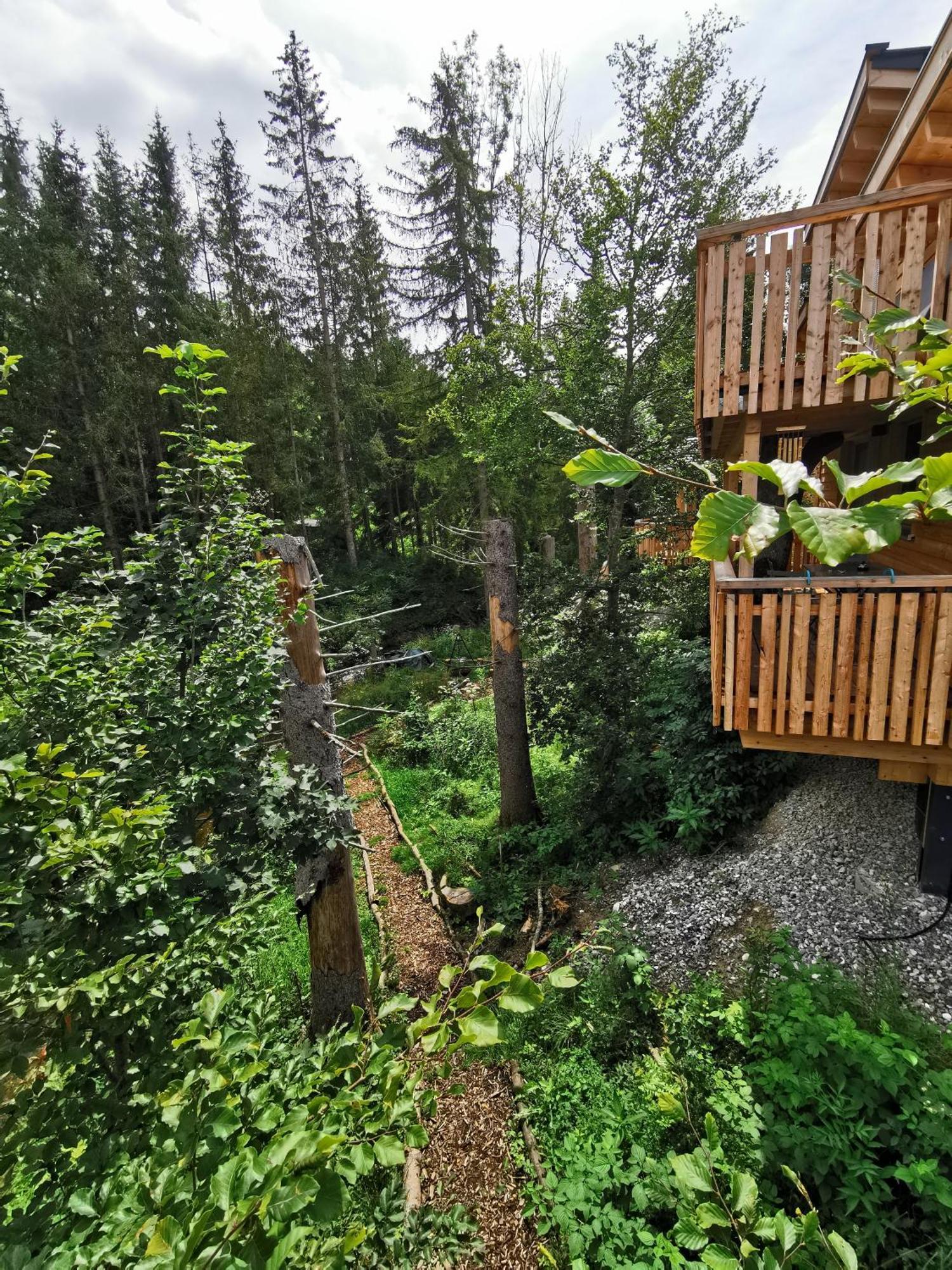 Hotel Wald Ist Zukunft Bernbeuren Esterno foto