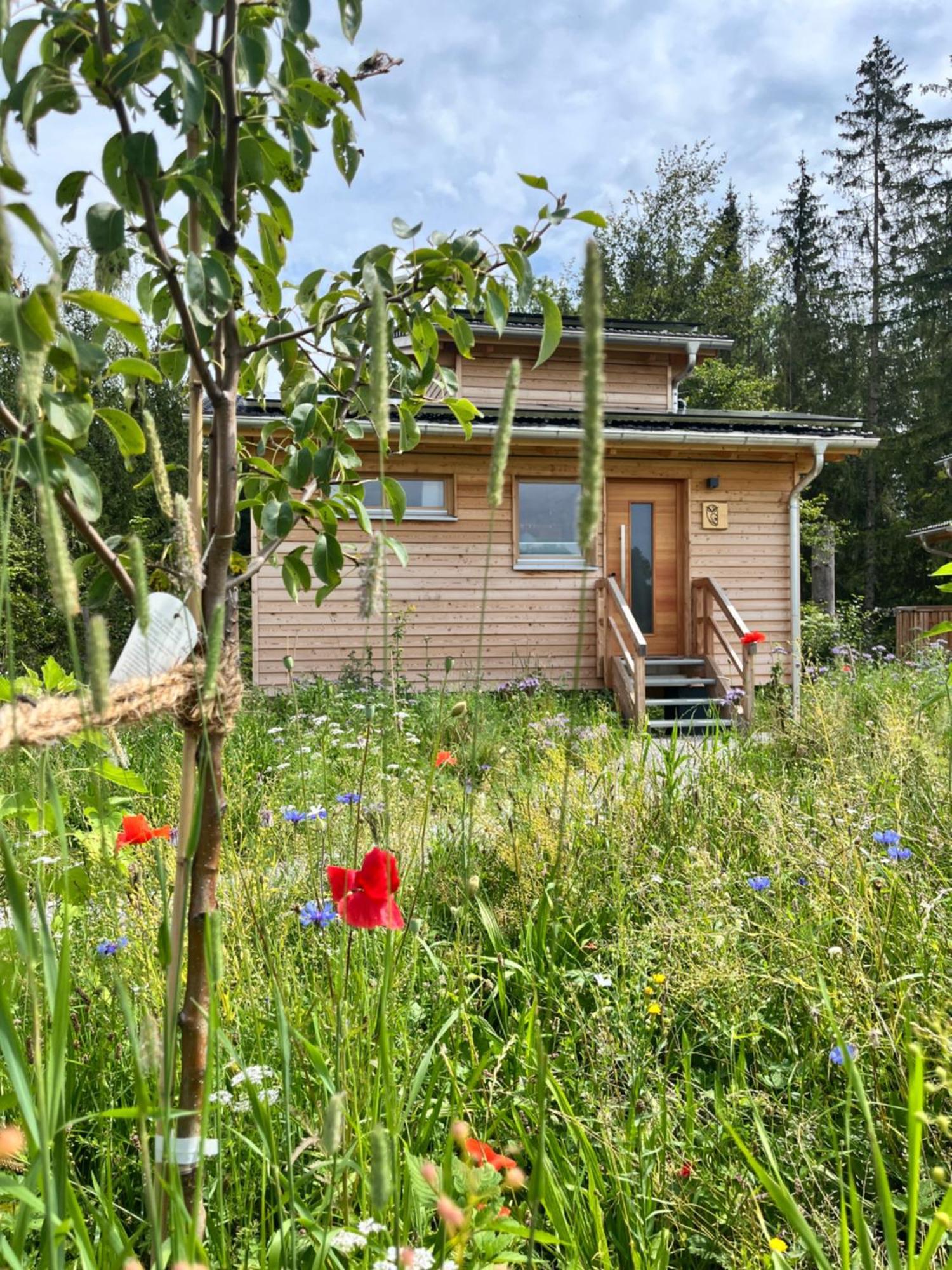 Hotel Wald Ist Zukunft Bernbeuren Esterno foto