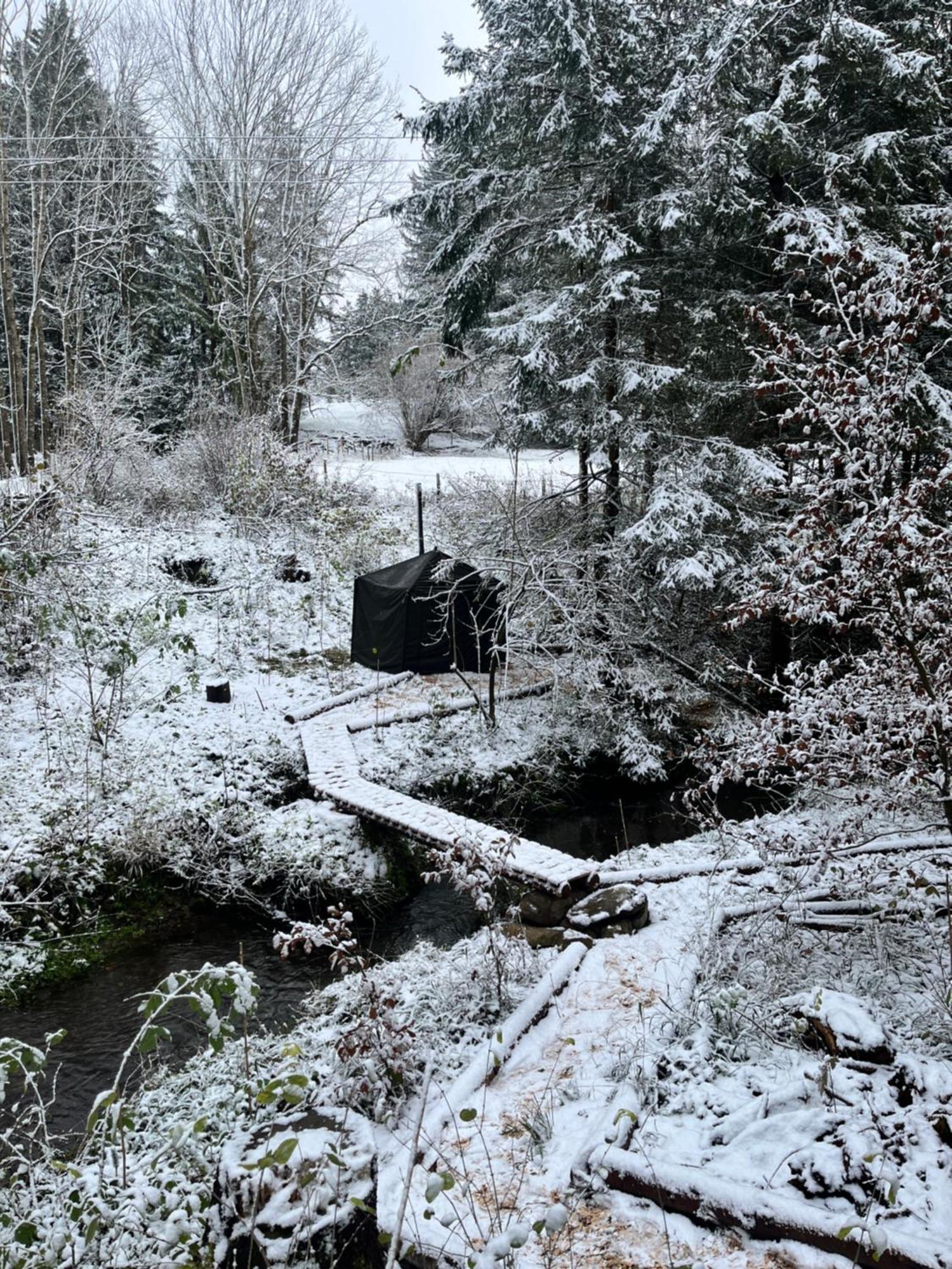 Hotel Wald Ist Zukunft Bernbeuren Esterno foto