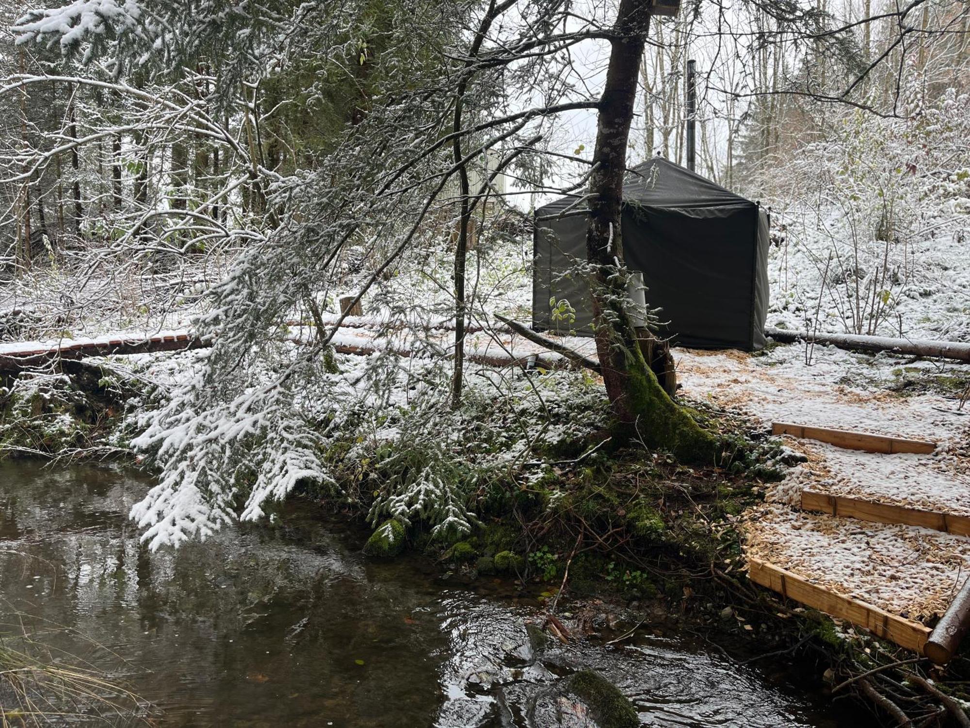 Hotel Wald Ist Zukunft Bernbeuren Esterno foto